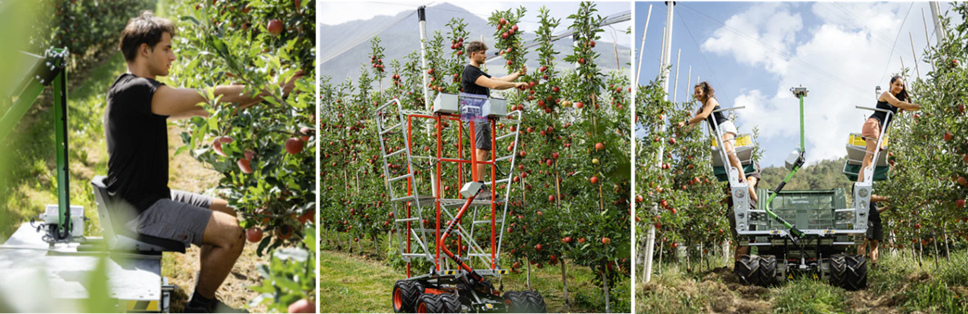 AgTech solutions for narrow orchard systems in Western Australia