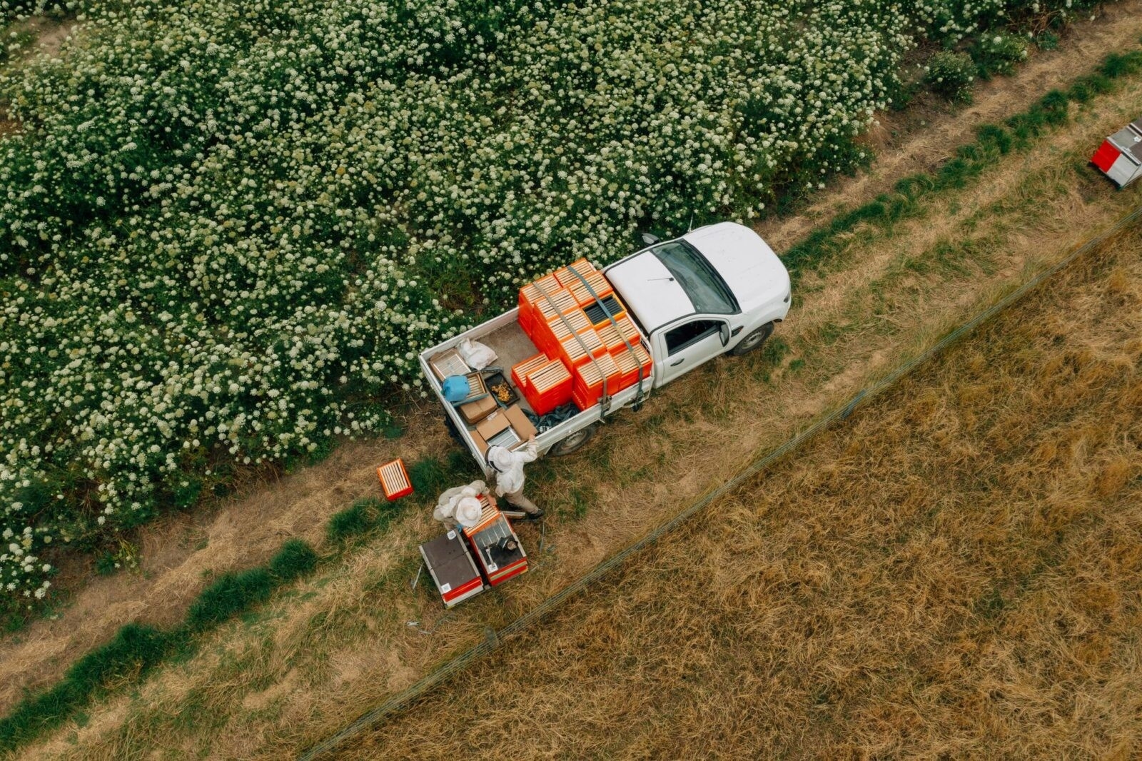 Pollination pressure a growing concern