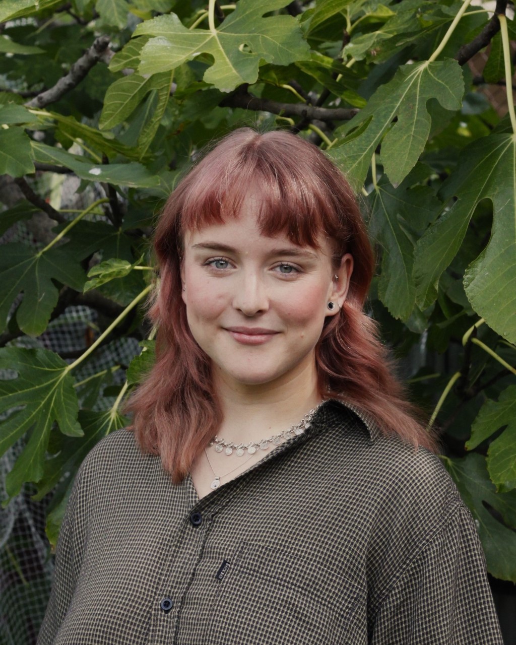 Here’s the crunch: soil health in organic orchards is not so different