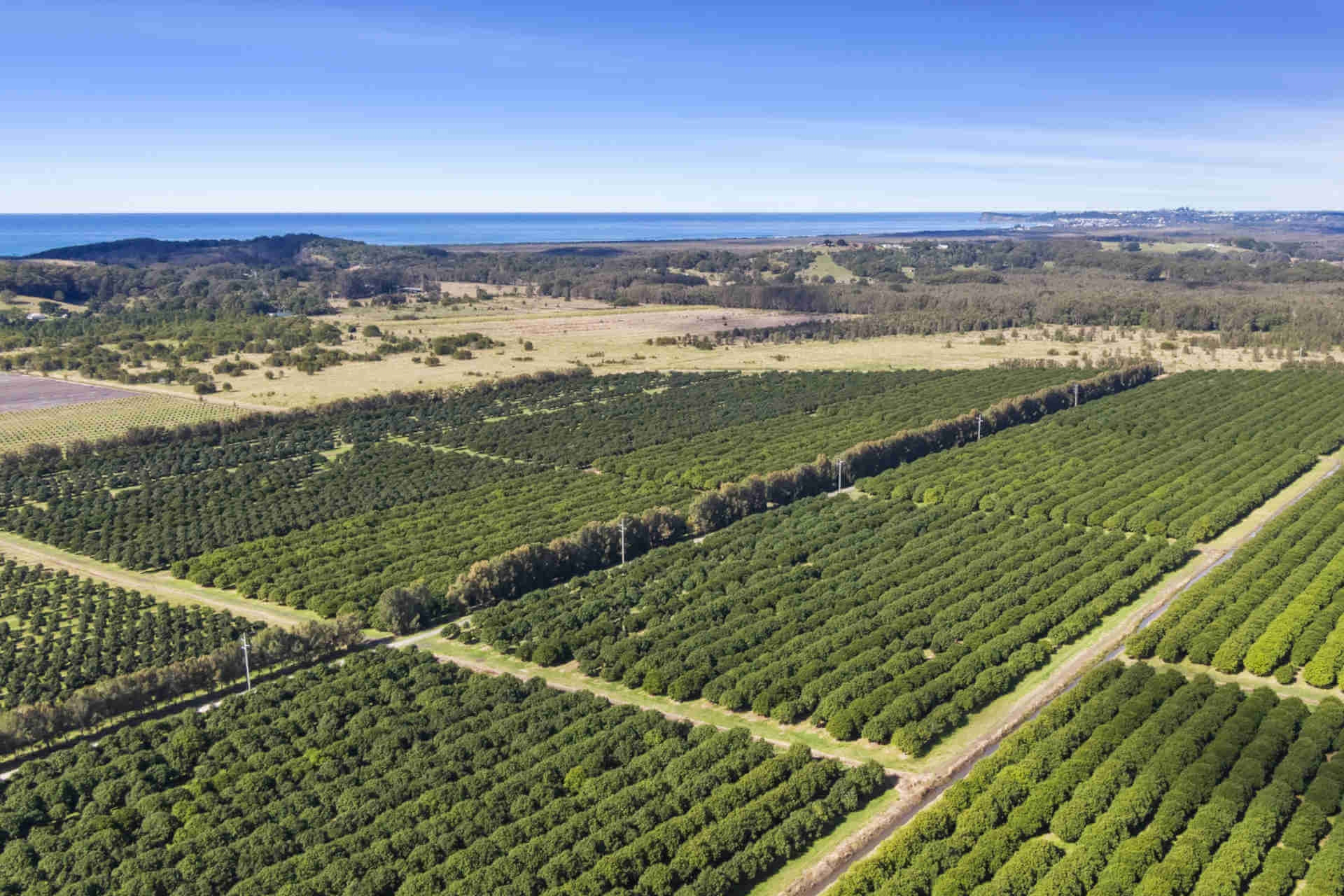 Study proves the way for a cleaner NSW coast