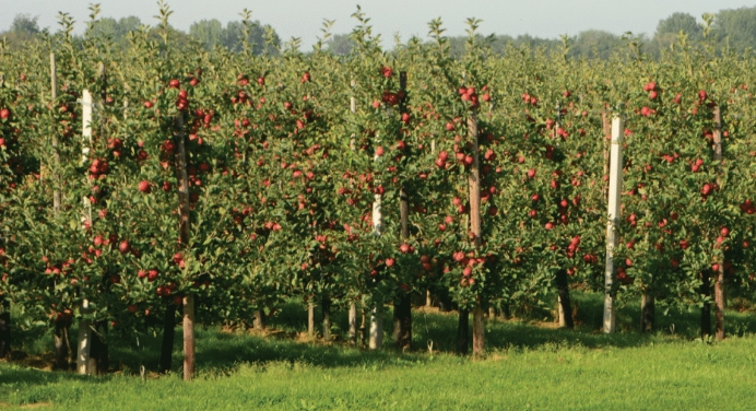 NEM reshapes Australian agriculture with science that listens
