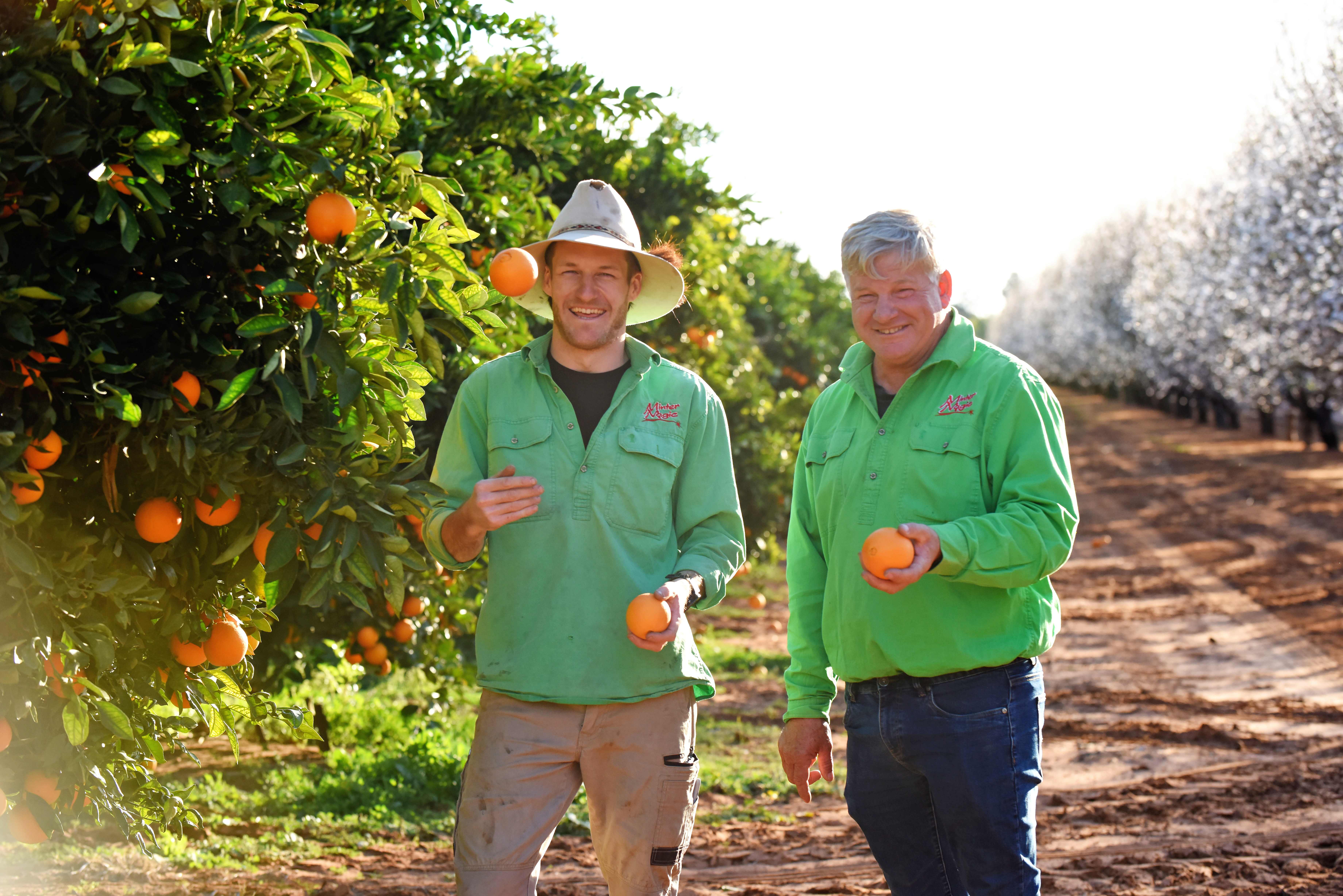 Mildura’s Minter Magic grows from embracing tech